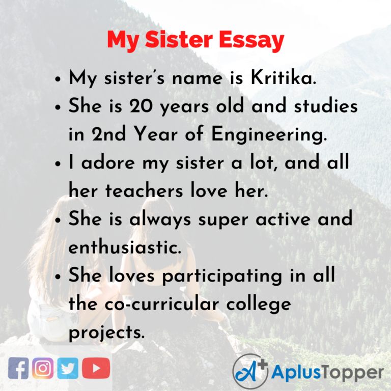 essay about having siblings