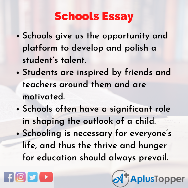 essay on school pdf