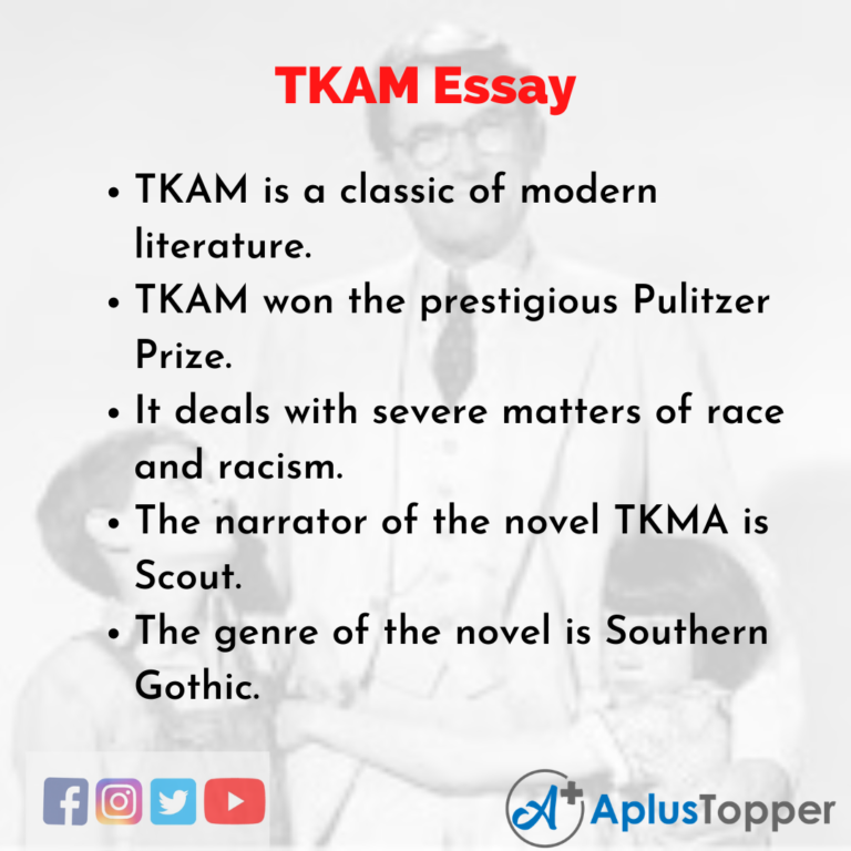 tkam essay examples