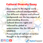 why is multicultural education important essay