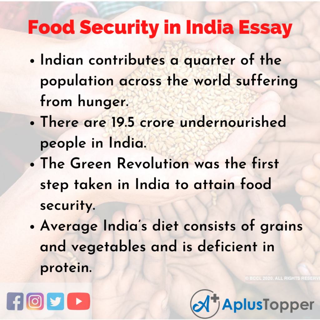 essay on food security for all
