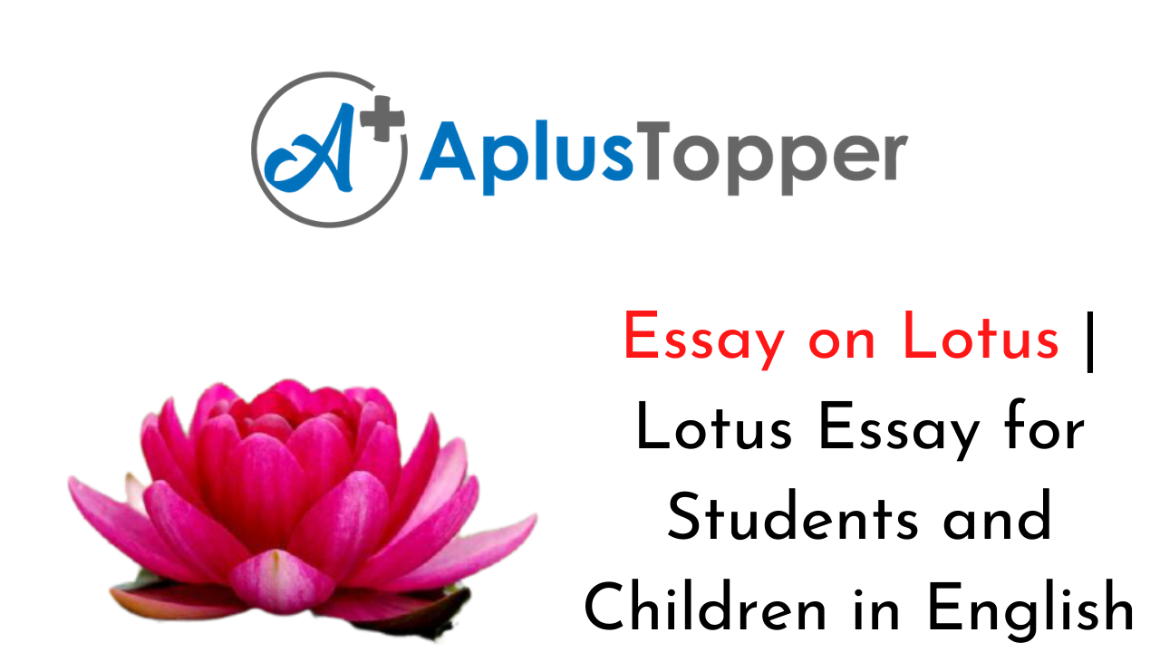 essay on lotus for class 1