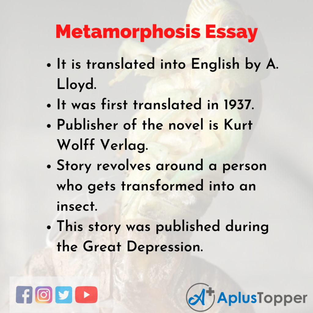 the metamorphosis essay outline
