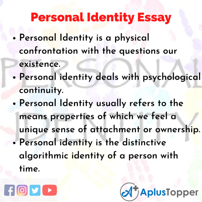 what is online identity essay