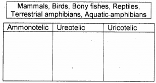 Plus One Zoology Previous Year Question Paper March 2019, 6