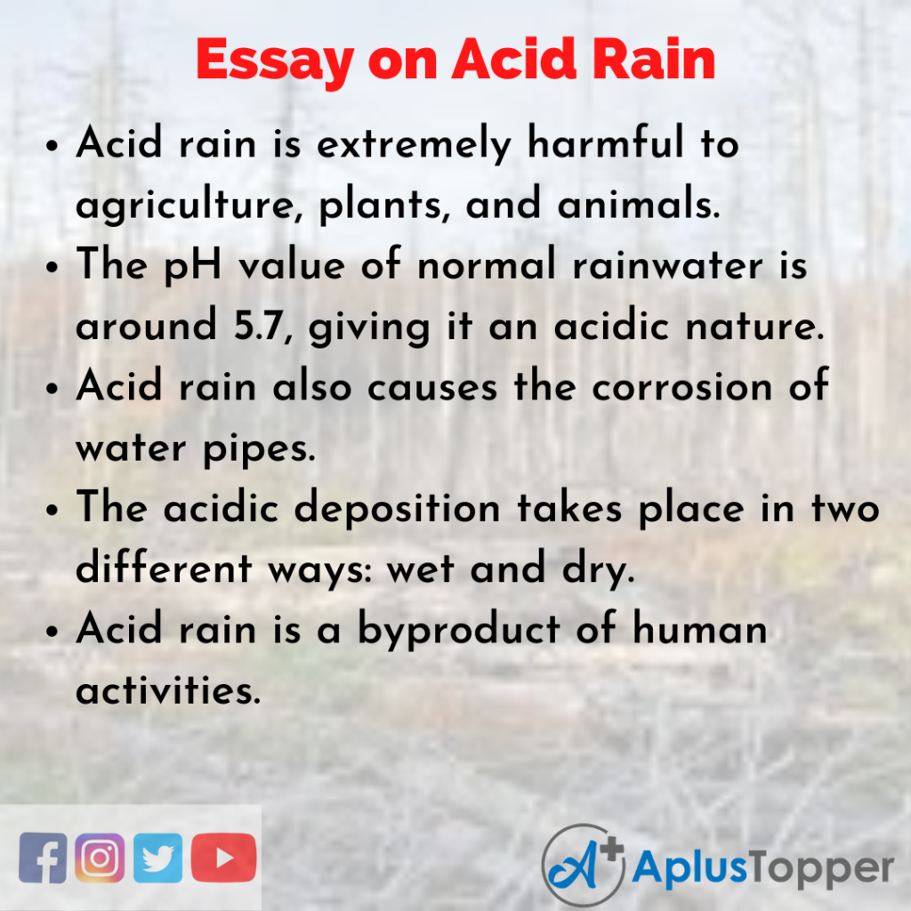 essay on acid rain
