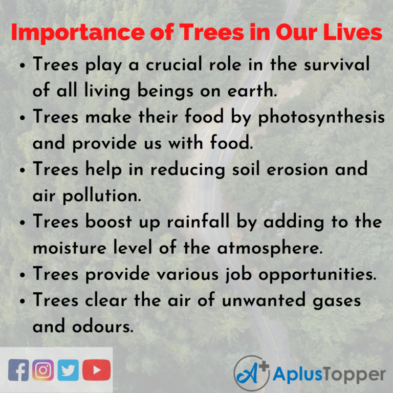 importance of trees essay 150 words