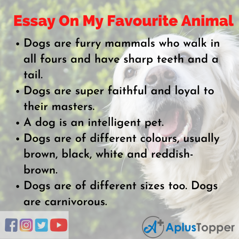 titles for animal essay
