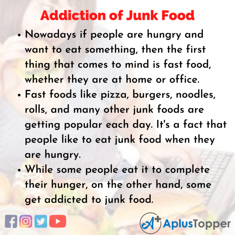 essay on eating junk food