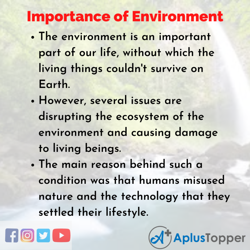 natural environment essay in english