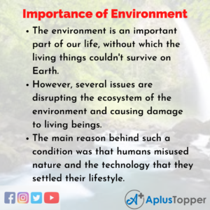 essay on environment importance