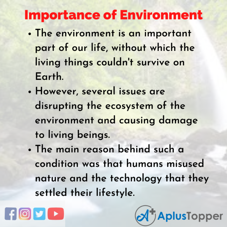 short essay on environment conclusion