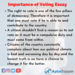Why is voting important essay