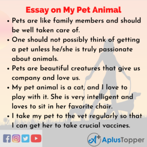 pets love unconditionally essay