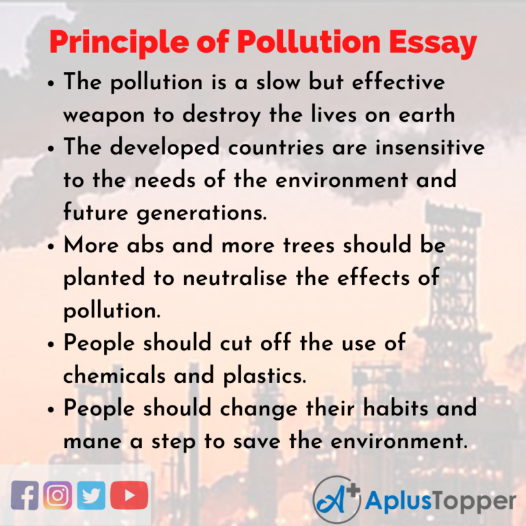 body of pollution essay