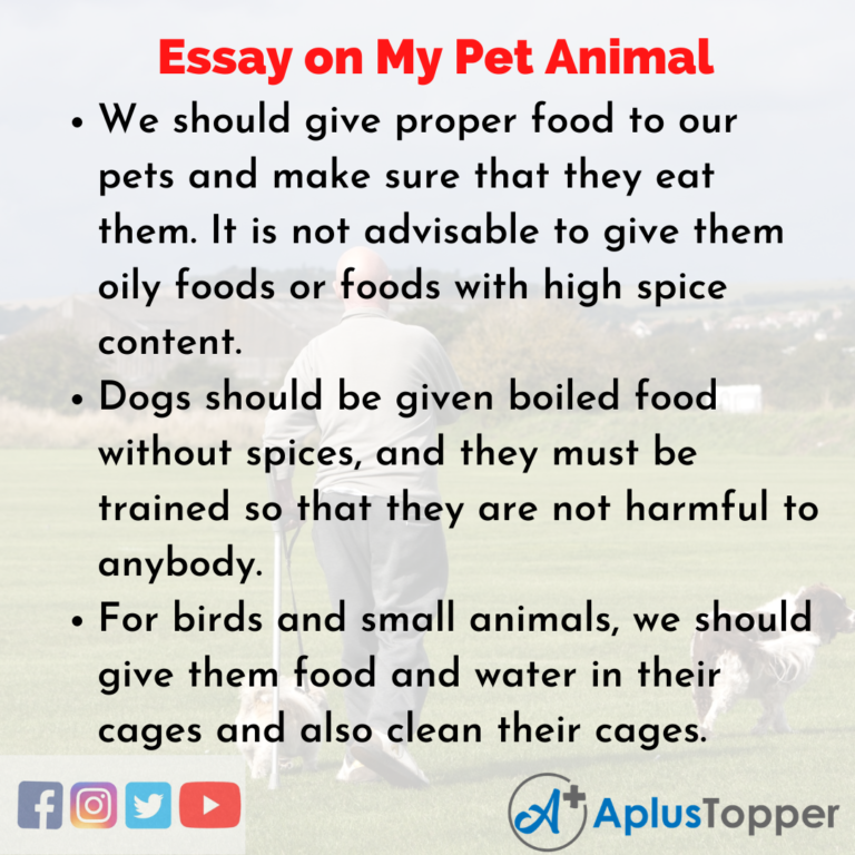 animal essay template