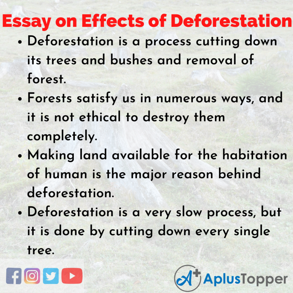 disadvantages of deforestation essay