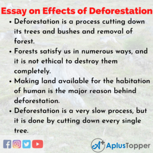cause and effect essay deforestation