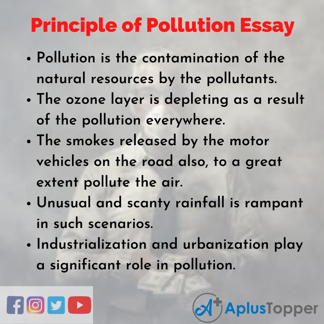 pollution essay in english class 6