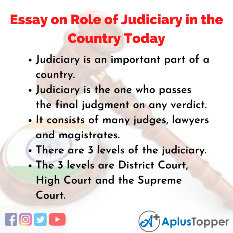 judiciary diversity essay