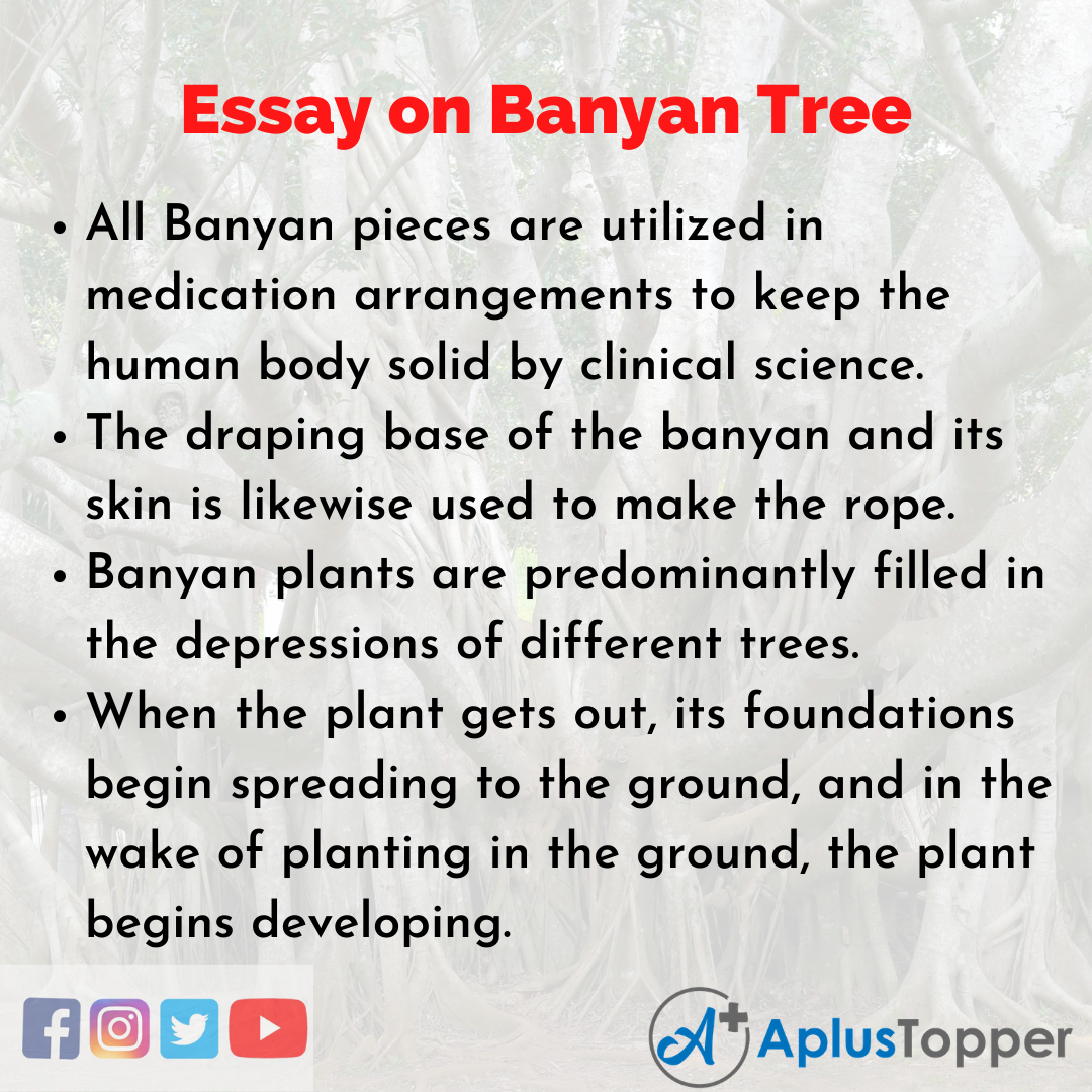 banyan tree essay in english