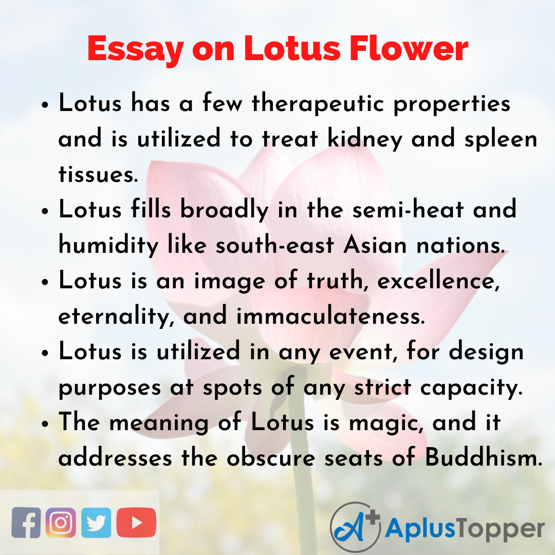 lotus essay for class 1