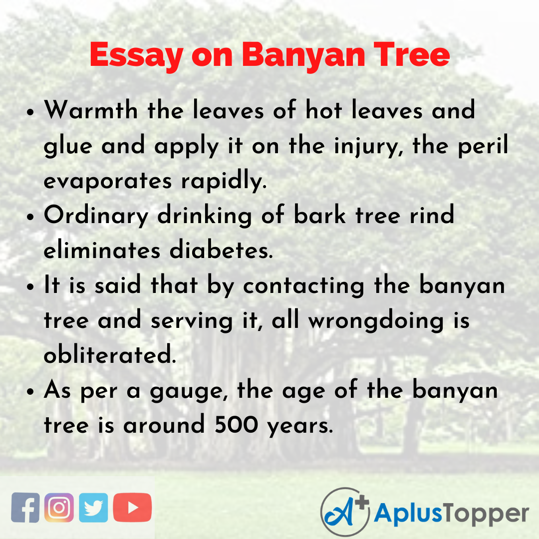 essay on banyan tree for kids