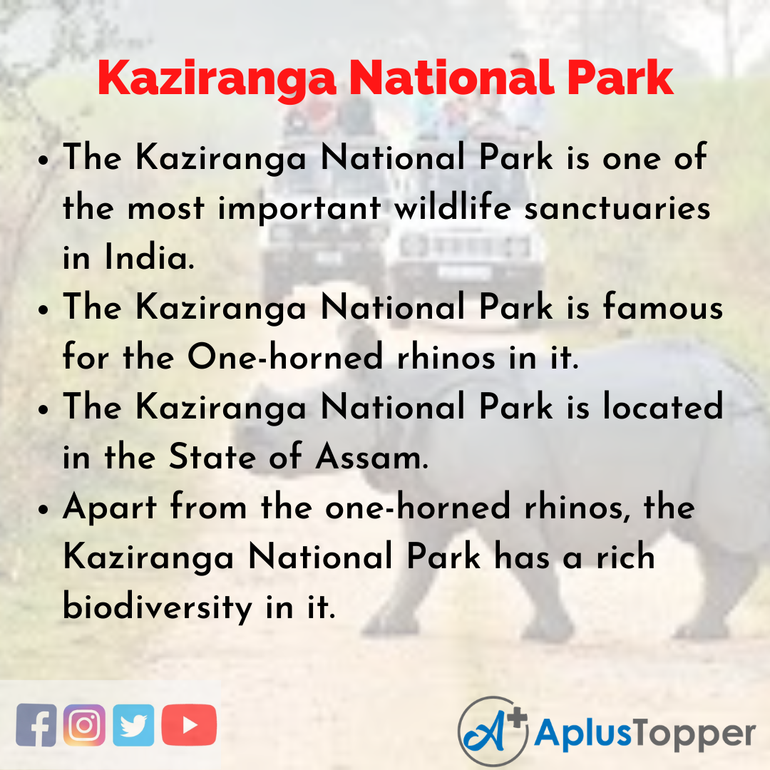 Essay on Kaziranga National Park | Kaziranga National Park Essay for  Students and Children in English - A Plus Topper