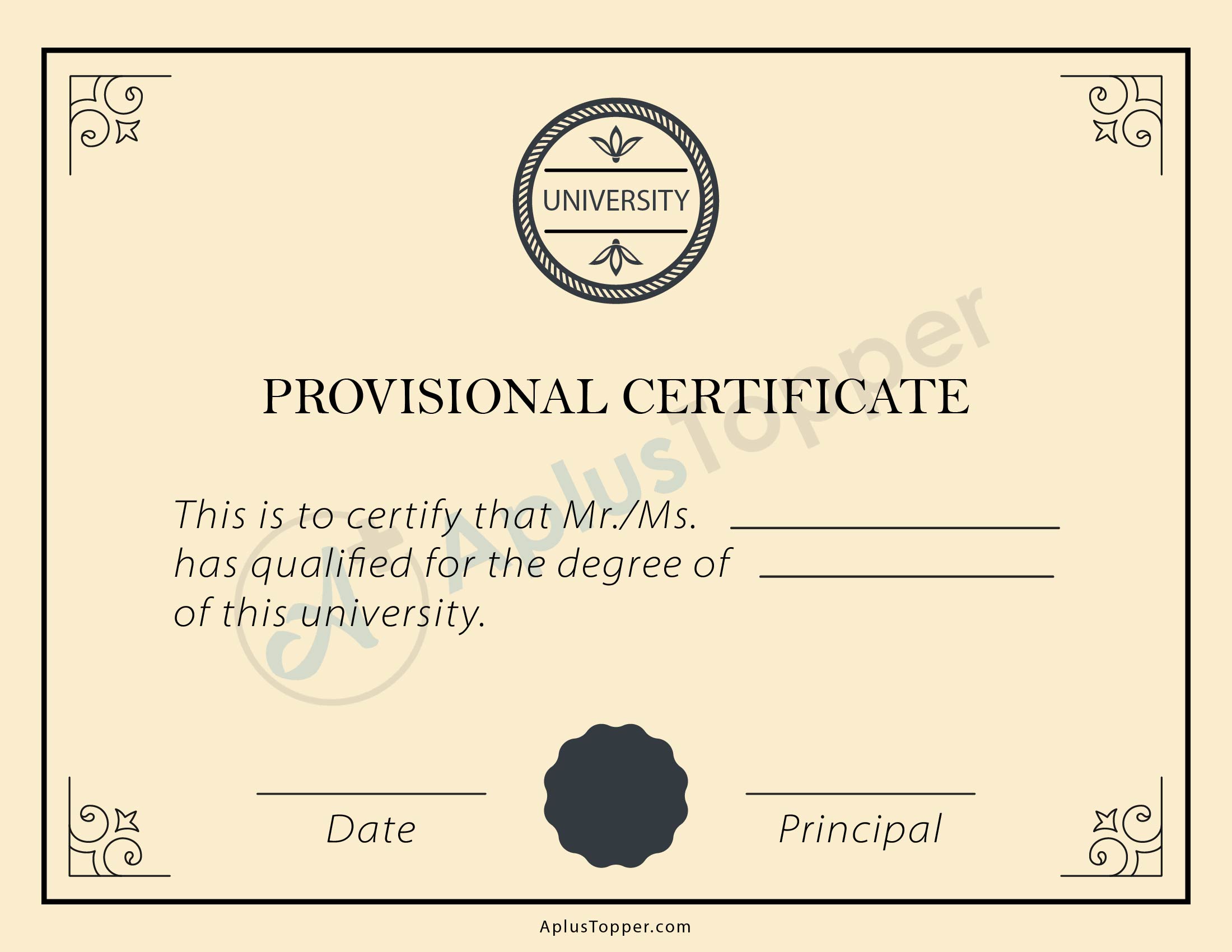 Provisional Certificate 