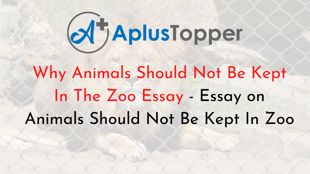 Why Animals Should Not Be Kept In The Zoo Essay | Essay on Animals Should  Not Be Kept In Zoo - A Plus Topper
