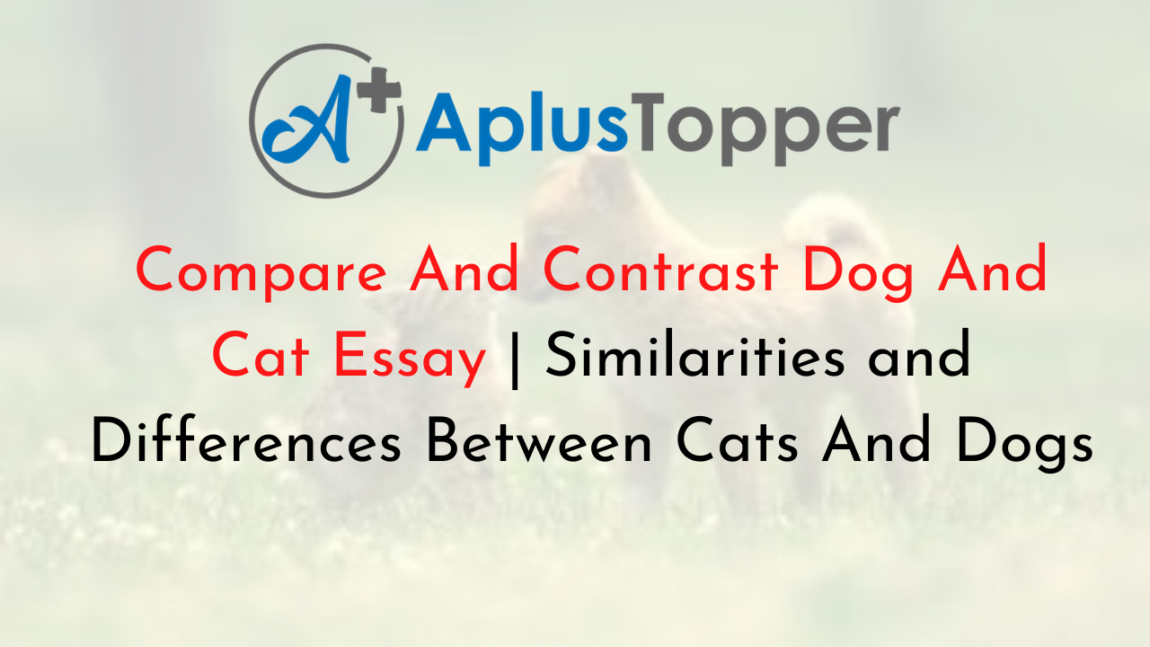 Compare And Contrast Dog And Cat Essay | Similarities and Differences
