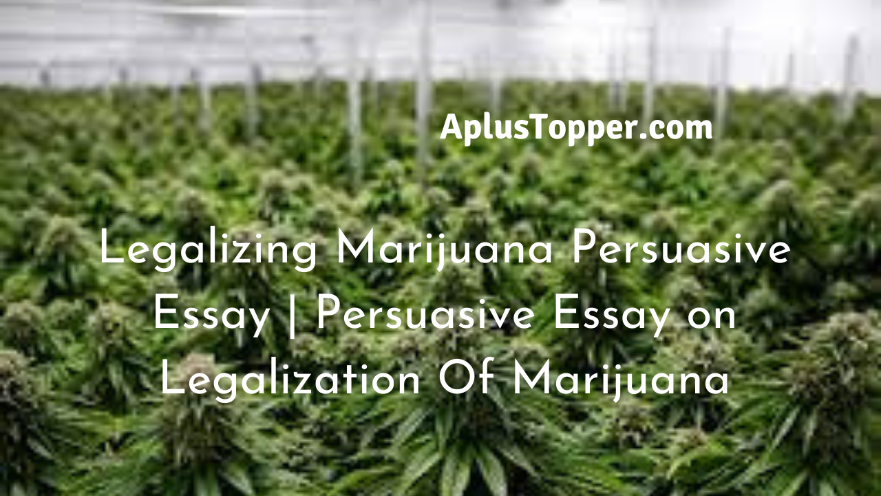 why marijuana should be legal persuasive essay