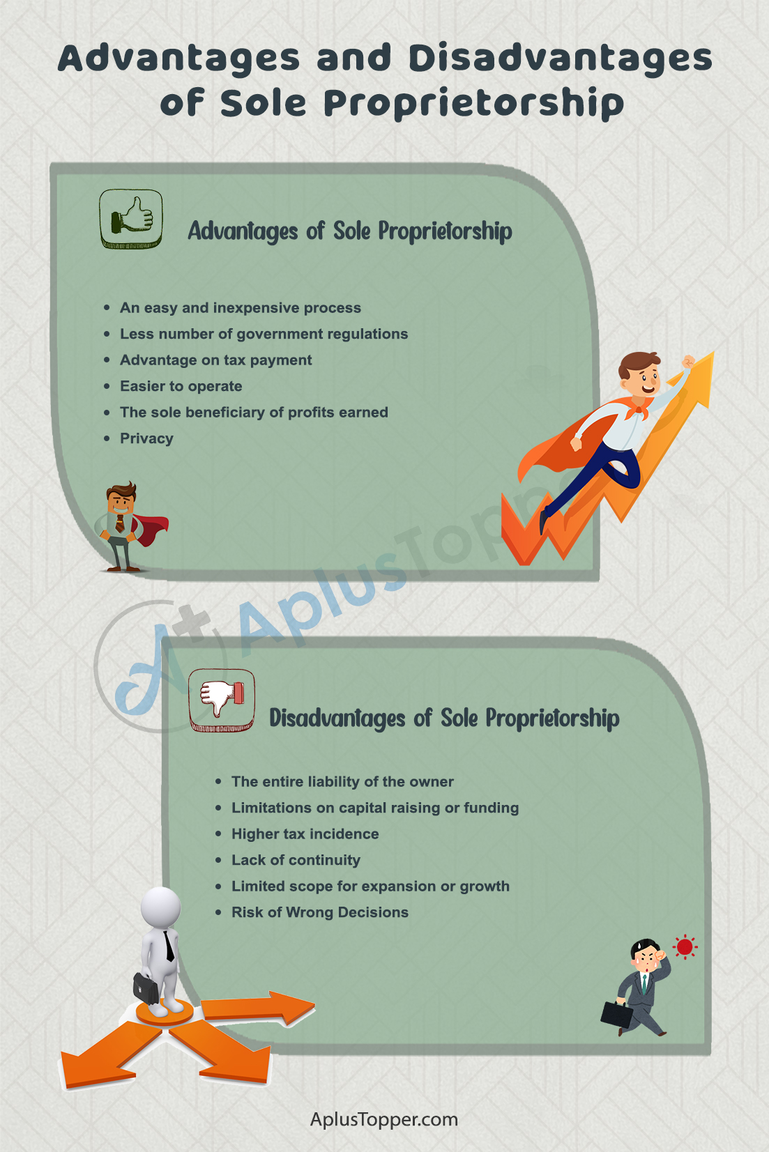 Advantages and Disadvantages of Sole Proprietorship 1