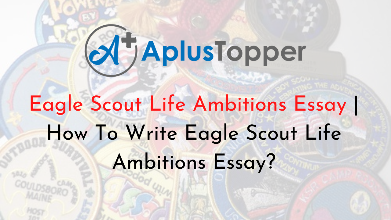 eagle scout application essay example