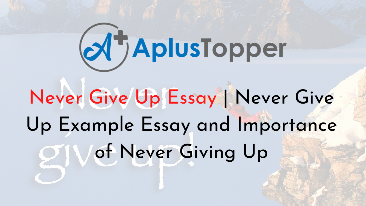 essay on why you should never give up