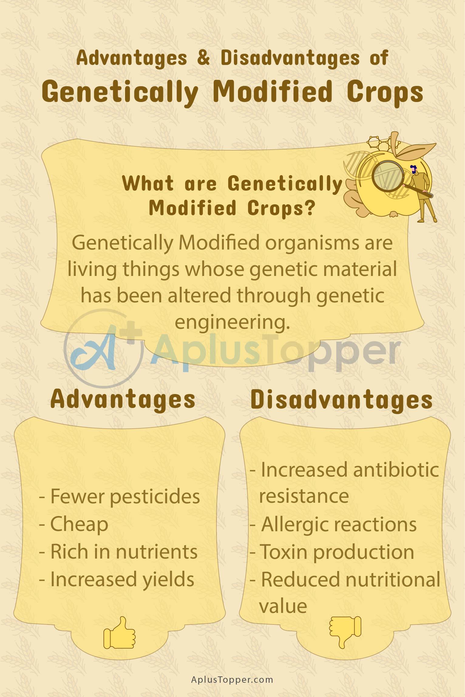 Genetically Modified Crops Advantages and Disadvantages | Advantages and  Disadvantages of GM Crops - A Plus Topper