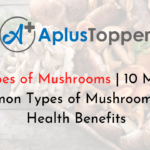 Types of Mushrooms