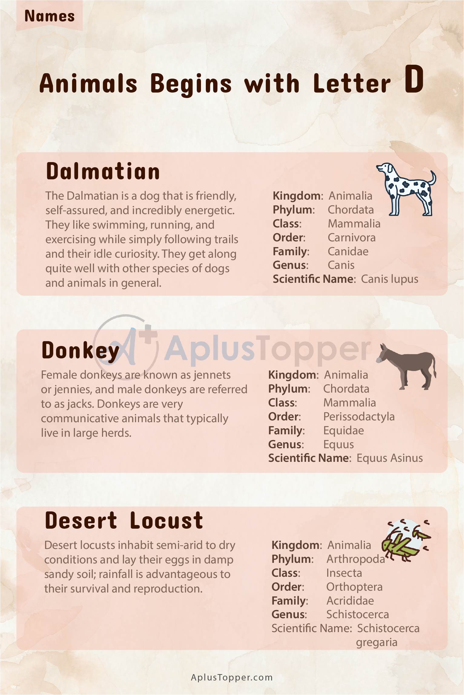 Animals that Start with D 1