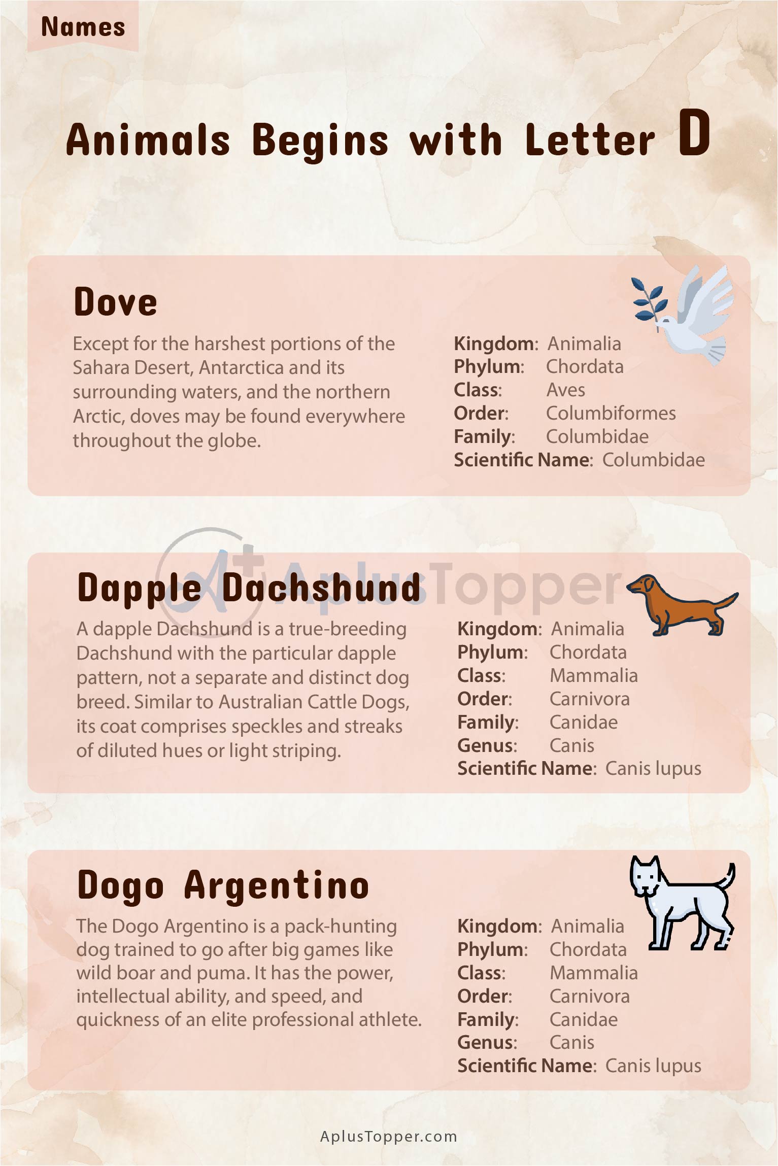 Animals that Start with D | Listed With Pictures, List of 40 Animals That  Starts With D and Fascinating Facts On Animals - A Plus Topper
