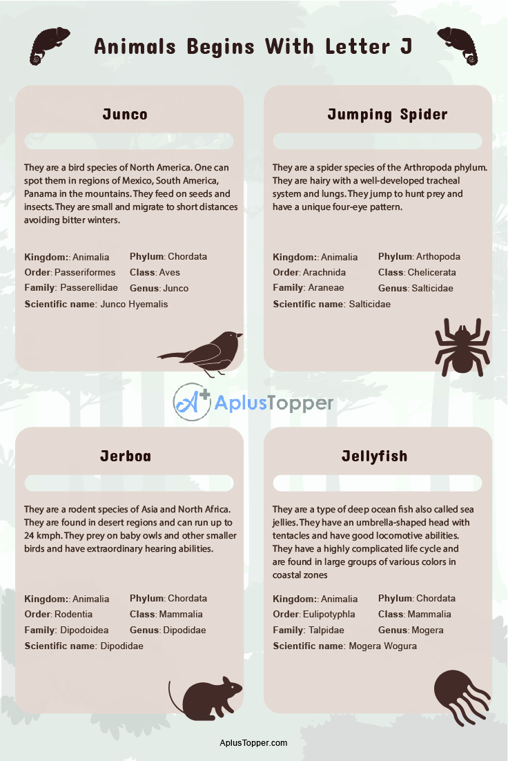Animals that Start with J | Listed With Pictures, List of 30+ Animals  Starting with Letter J & Facts - A Plus Topper