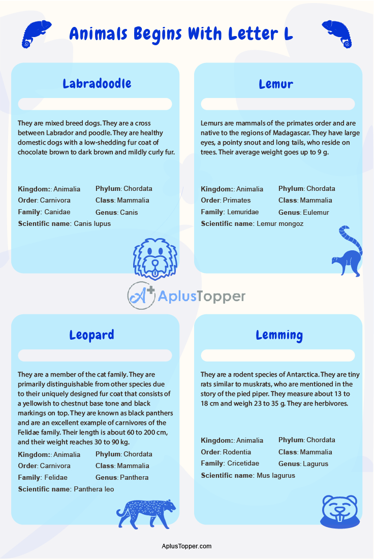 Animals that Start with L | Listed With Pictures, List of 30+ Animals  Starting with L Pictures & Facts - A Plus Topper