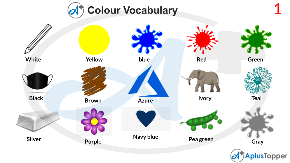 Colour Vocabulary