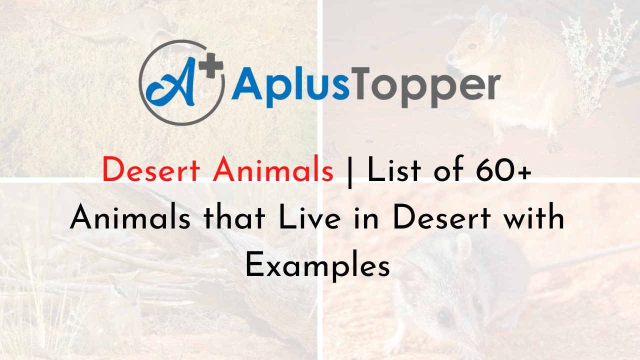 Desert Animals | List of 60+ Animals that Live in Desert with Examples - A  Plus Topper