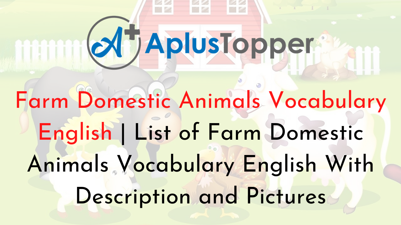 Farm Domestic Animals Vocabulary English | List of Farm Domestic Animals  Vocabulary English With Description and Pictures - A Plus Topper