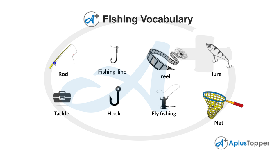 Fishing Vocabulary