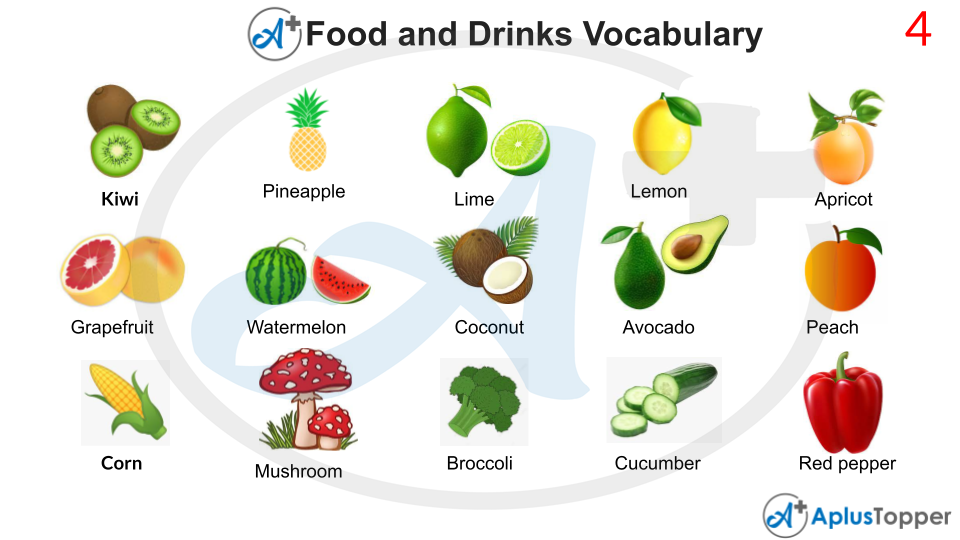 Food and Drinks Vocabulary PDF