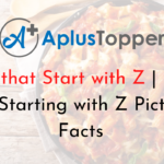 Foods that Start With Z