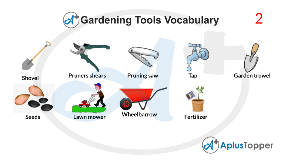 Gardening Tools Vocabulary With Images