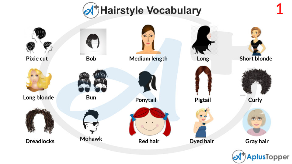 Hairstyle Vocabulary | List of Hairstyles Vocabulary With Description and  Pictures - A Plus Topper