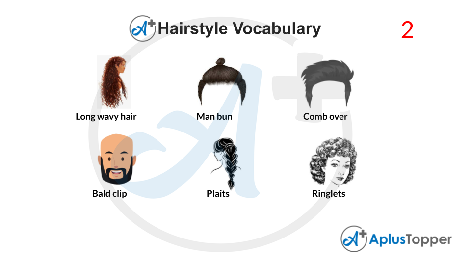 HairStyle Vocabulary With Images